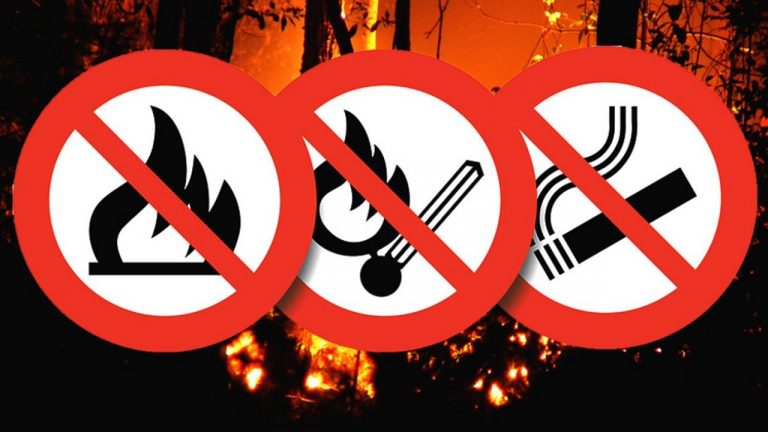 Országos tűzgyújtási tilalom lépett életbe miután 600 hektárnyi terület leégett a Kis-Balatonnál